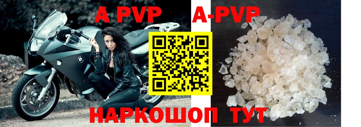 Alfa_PVP СК КРИС Обь