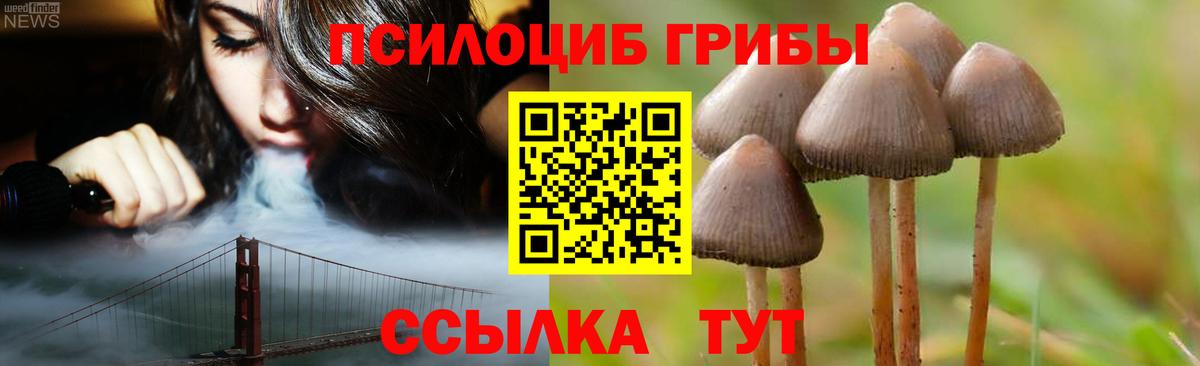 Обь  Галлюциногенные грибы MAGIC MUSHROOMS  Псилоцибиновые грибы прущие грибы  Вход с VPN 
