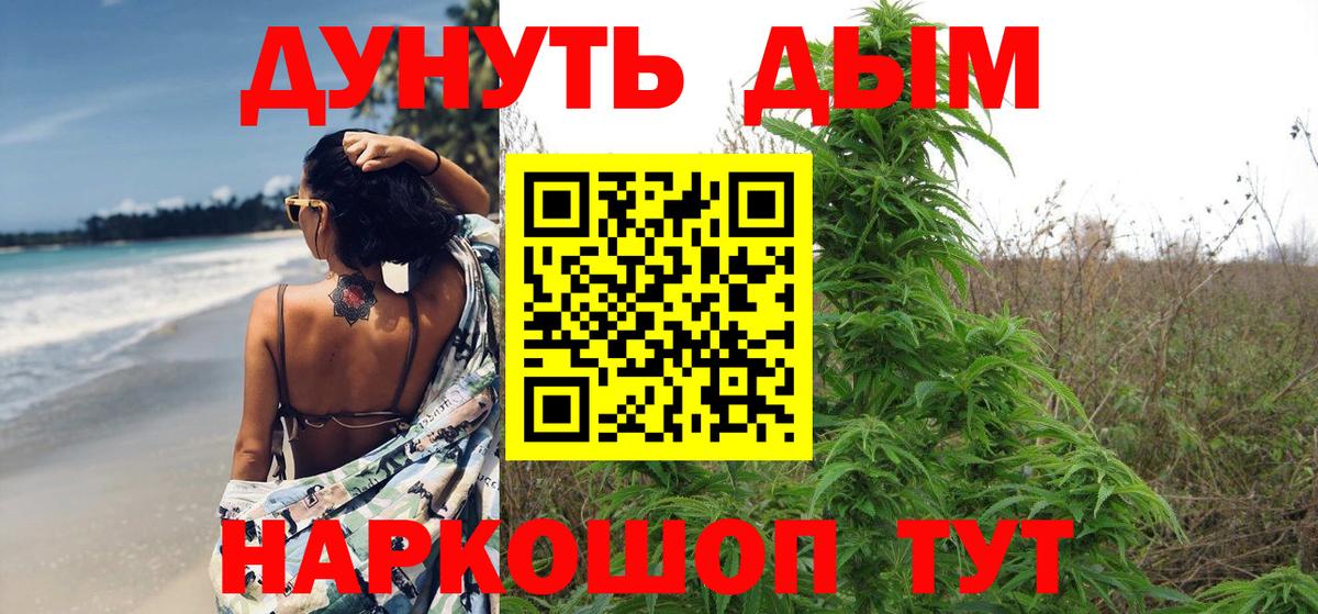 Конопля сатива Обь